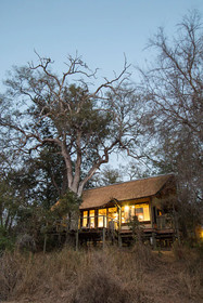 Plains Camp @ Rhino Walking Safaris