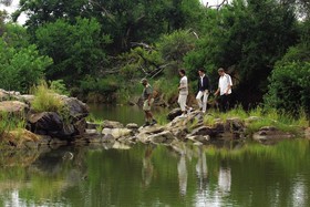 Madikwe River Lodge