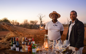 Madikwe Safari Lodge