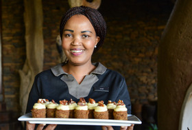 Madikwe Safari Lodge