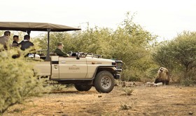 Rhulani Safari Lodge