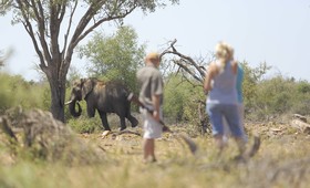 Rhulani Safari Lodge