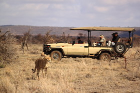 Rhulani Safari Lodge