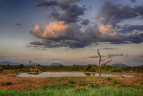 Last Word Madikwe