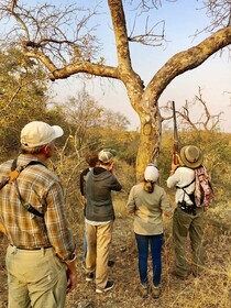 Toro River Lodges Big 5 Safari