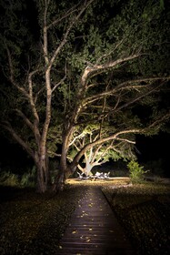 Toro River Lodges Big 5 Safari