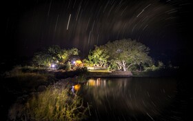 Toro River Lodges Big 5 Safari