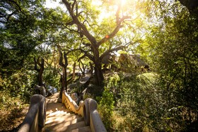 Toro River Lodges Big 5 Safari
