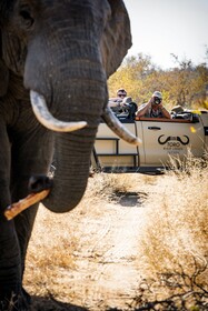 Toro River Lodges Big 5 Safari
