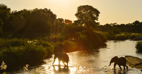Lion Sands River Lodge
