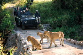 Lion Sands River Lodge
