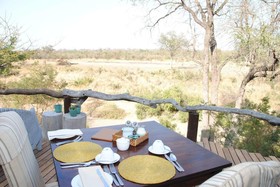 Thornybush Simbambilli Game Lodge