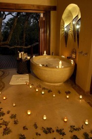 Thornybush Simbambilli Game Lodge