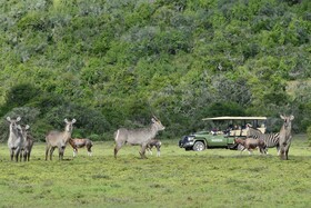 Bayethe Lodge
