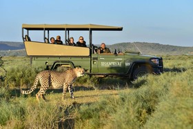 Shamwari Private Game Reserve