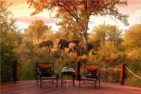 Hoyo Hoyo Safari Lodge