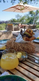 Kruger Shalati - Train on The Bridge & Garden Suites