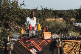 Kruger Shalati - Train on The Bridge & Garden Suites