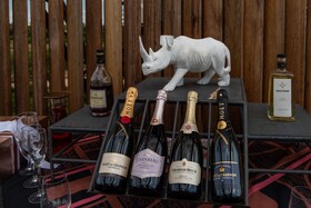 Kruger Shalati - Train on The Bridge & Garden Suites