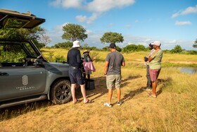 Kruger Shalati - Train on The Bridge & Garden Suites
