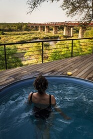 Kruger Shalati - Train on The Bridge & Garden Suites