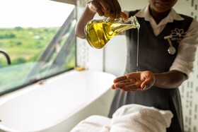 Kruger Shalati - Train on The Bridge & Garden Suites
