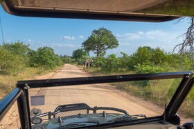 Kruger Shalati - Train on The Bridge & Garden Suites
