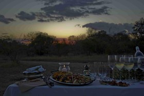 Thornybush Shumbalala Game Lodge