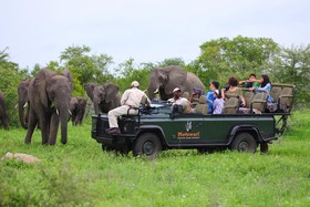 Geiger’s Camp at Motswari Private Game Reserve