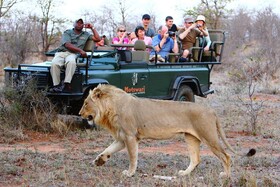 Motswari Private Game Reserve Resort by Newmark
