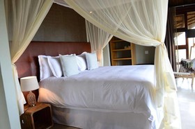 Mhondoro Safari Lodge & Villa