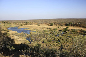 Mthimkhulu Private Game Reserve
