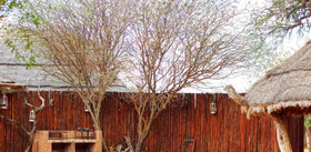 Blanco Hunting Safaris Game Ranch