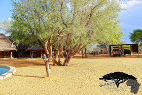 Blanco Hunting Safaris Game Ranch