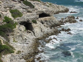 Whale Watch Accommodation