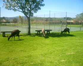 Brenton Park Holiday Cottages