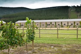 Rare Earth Country House