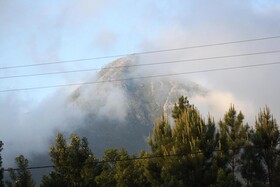 Fijnbosch Cottage and Camping