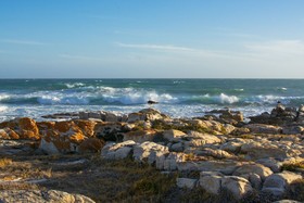 Blonds Blessings Struisbaai