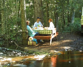 The Fernery Lodge & Chalets