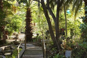Yellow Aloe Guesthouse