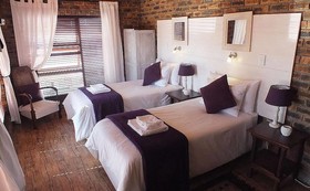 White Shark Guest House