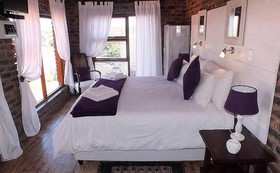 White Shark Guest House