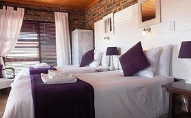 White Shark Guest House