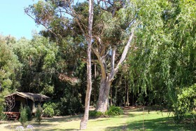 Kunguru Lodge