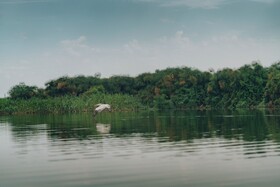 Naumba Camp Site