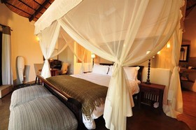 Sanctuary Sussi & Chuma
