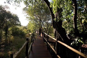 Sanctuary Sussi & Chuma
