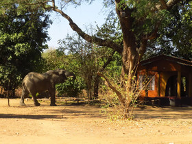 Zikomo Safari Camp