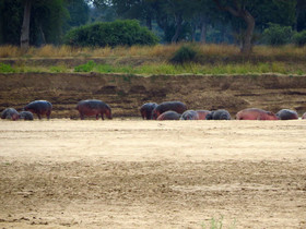 Zikomo Safari Camp
